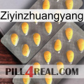 Ziyinzhuangyang cialis2